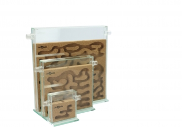 ANTCUBE - Korknest 10x10 - stehend